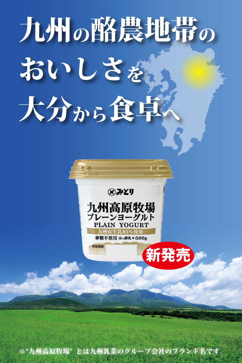 新品 ヨーグルト 山形 飯豊ながめやま牧場 放牧プレーンヨーグルト 無糖 400g×6個